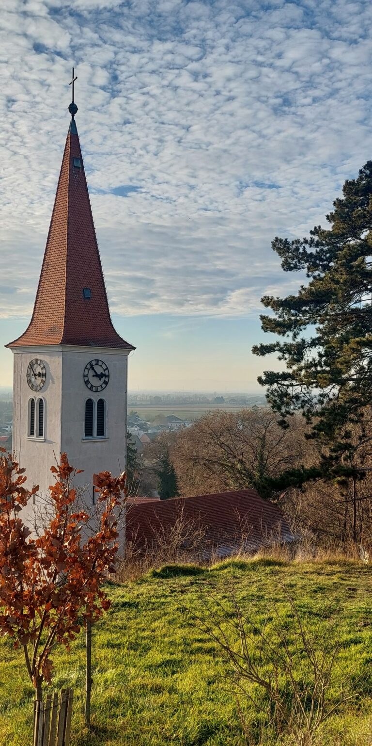 Fest- und Dankesmesse zum goldenen Jubiläum